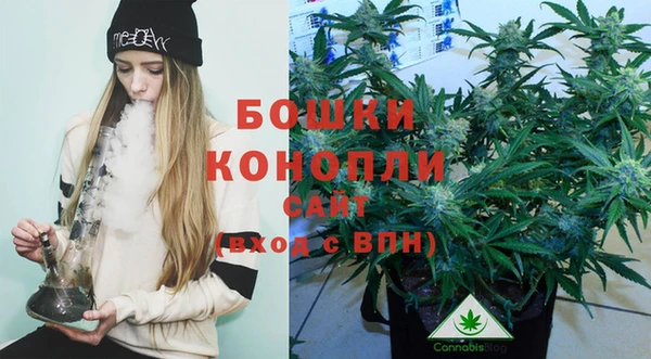 дурь Осташков
