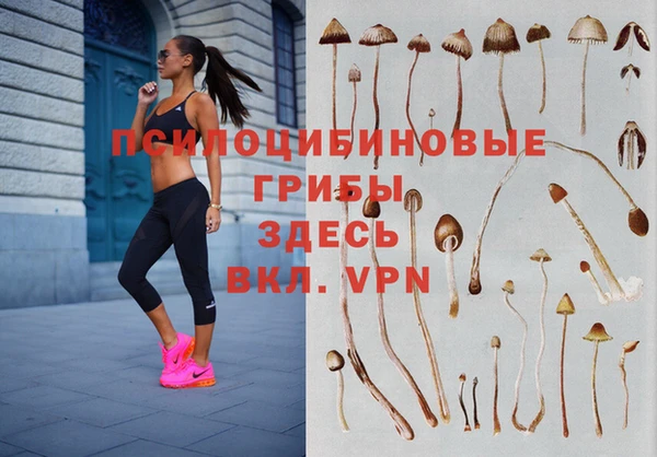 MESCALINE Абинск