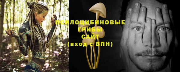 герыч Абаза