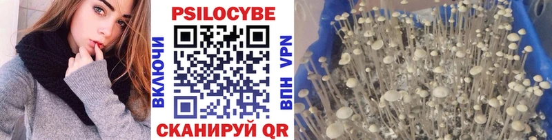 Галлюциногенные грибы Cubensis Туран